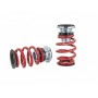 Skunk2 Racing Pro ST Coilovers 06-11 Civic