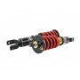 Skunk2 Racing Pro ST Coilovers 92-95 Civic 94-01 Integra