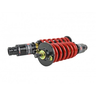 Skunk2 Racing Pro ST Coilovers 92-95 Civic 94-01 Integra