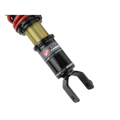 Skunk2 Racing Pro ST Coilovers 92-95 Civic 94-01 Integra