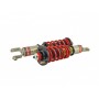 Skunk2 Racing Pro-S II Coilovers 92-95 Civic 94-01 Integra