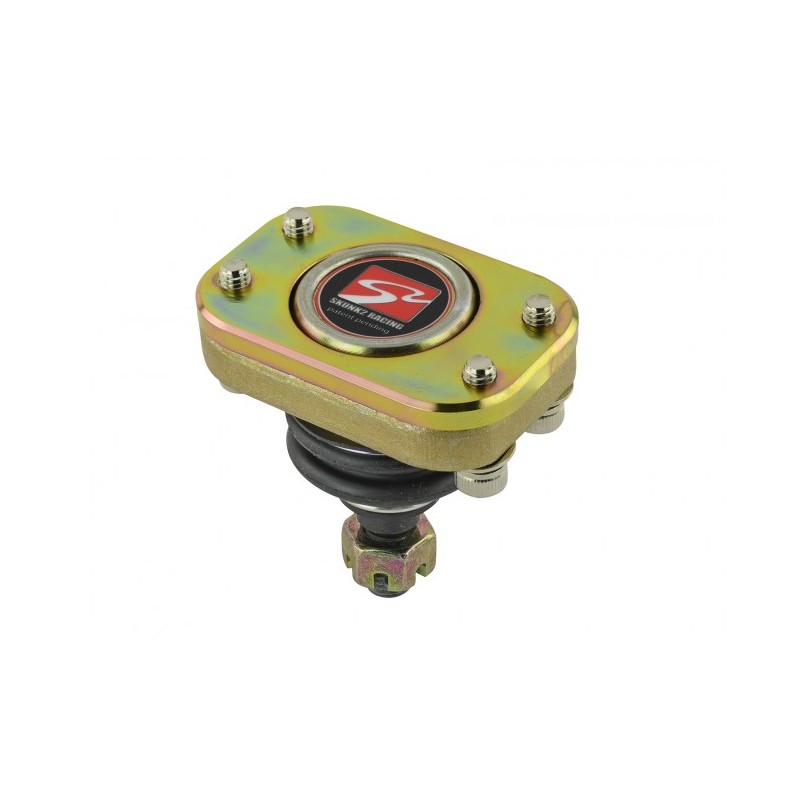 Skunk2 Pro Series 9200 Honda Civic/9401 Acura Integra Front Camber