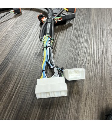 Area51 FT550 to K Series Jumper Harness