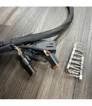 Area51 FT550 to K Series Jumper Harness