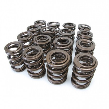 Skunk2 Tuner Series Honda/Acura (K20/K24/F20C/F22C) DOHC VTEC Alpha Valve Spring Set (Dual Springs)