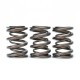 Skunk2 Tuner Series Honda/Acura (K20/K24/F20C/F22C) DOHC VTEC Alpha Valve Spring Set (Dual Springs)