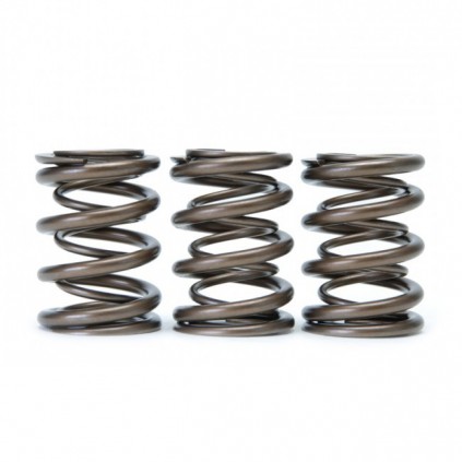 Skunk2 Tuner Series Honda/Acura (K20/K24/F20C/F22C) DOHC VTEC Alpha Valve Spring Set (Dual Springs)