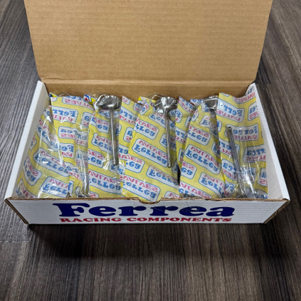 Ferrea Honda B Series VTEC 6000 Series Intake Valve STD - Set of 8