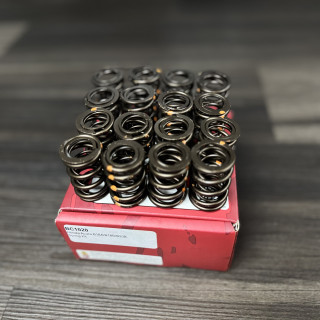Brian Crower Honda/Acura B Series LS Dual Valve Springs B18A/B18B/B20B