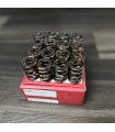 Brian Crower Honda/Acura B Series LS Dual Valve Springs B18A/B18B/B20B